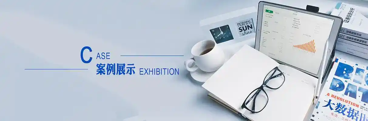 容城县软件开发
